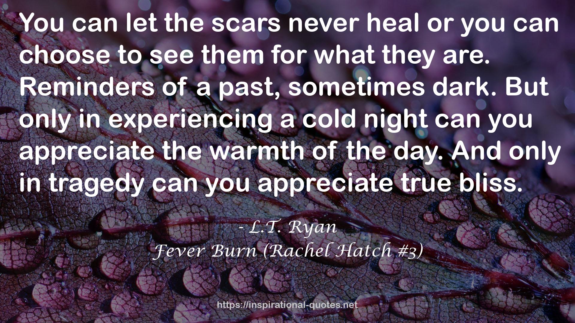 Fever Burn (Rachel Hatch #3) QUOTES