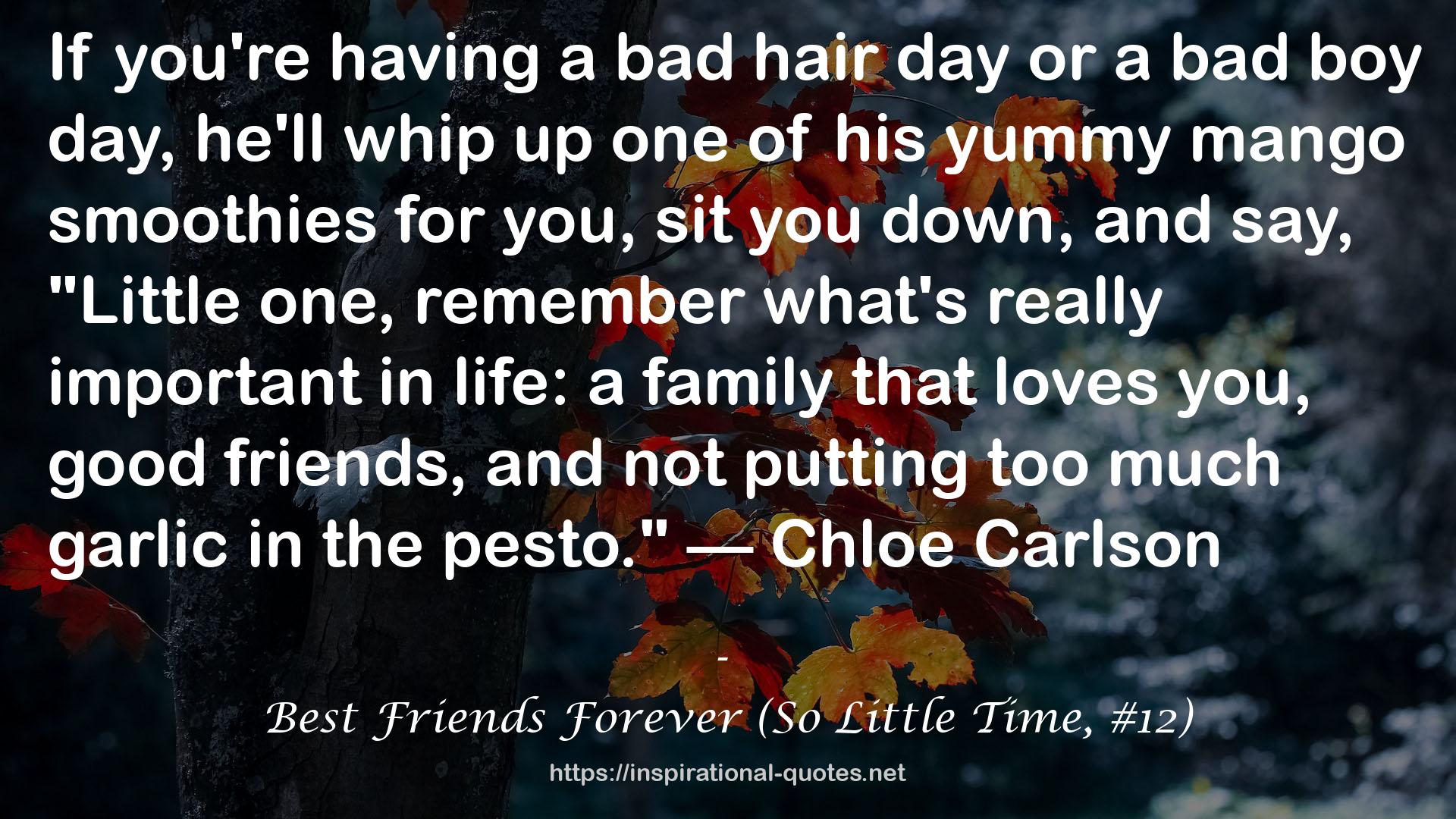 Best Friends Forever (So Little Time, #12) QUOTES