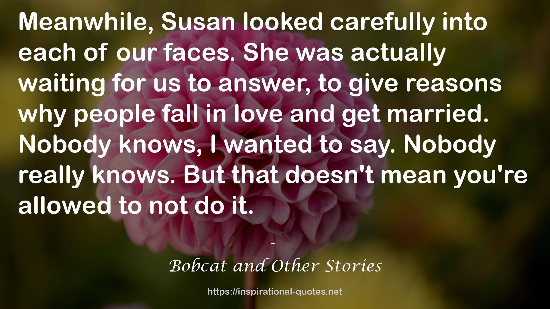 Bobcat and Other Stories QUOTES