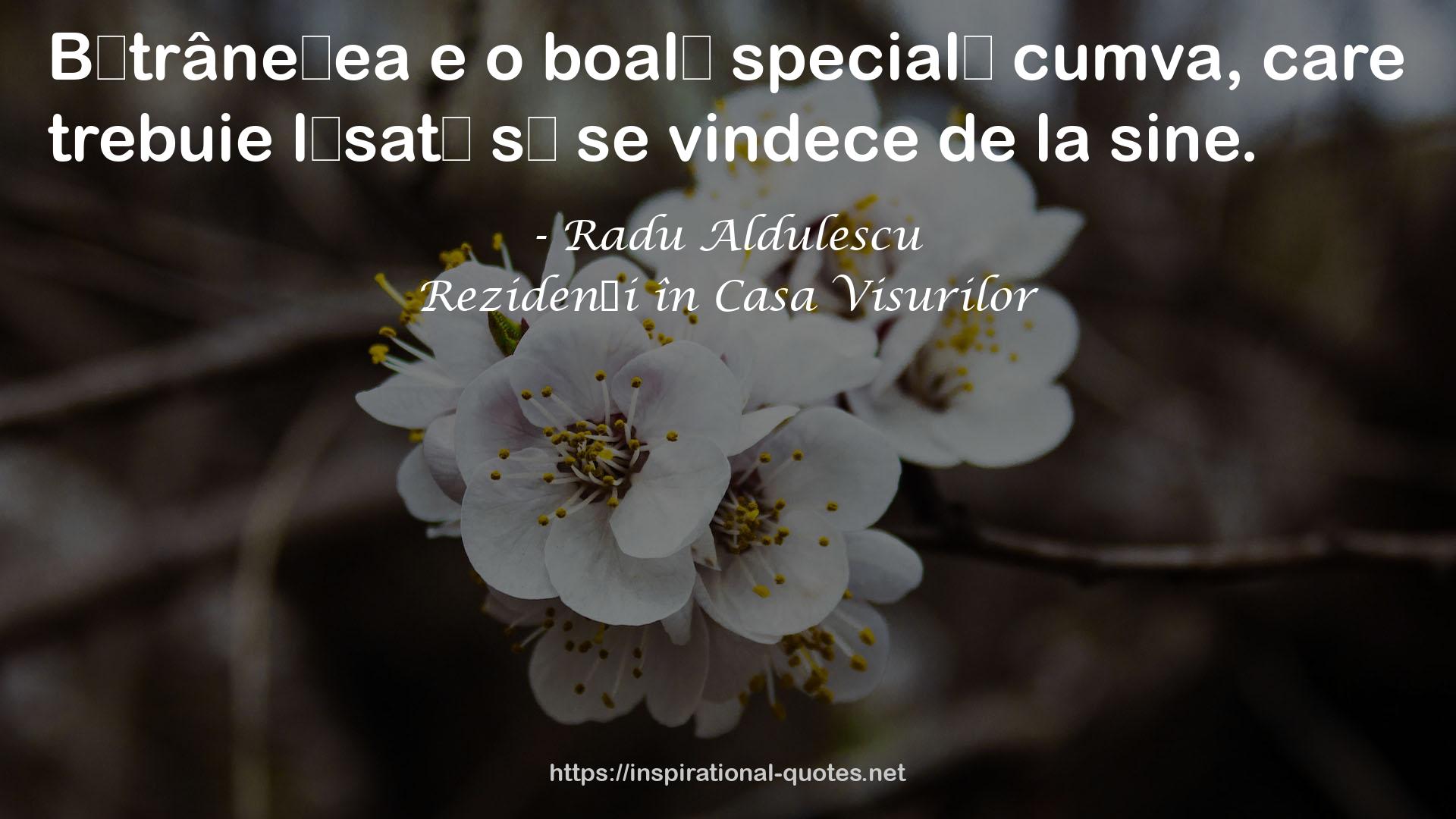 Rezidenți în Casa Visurilor QUOTES