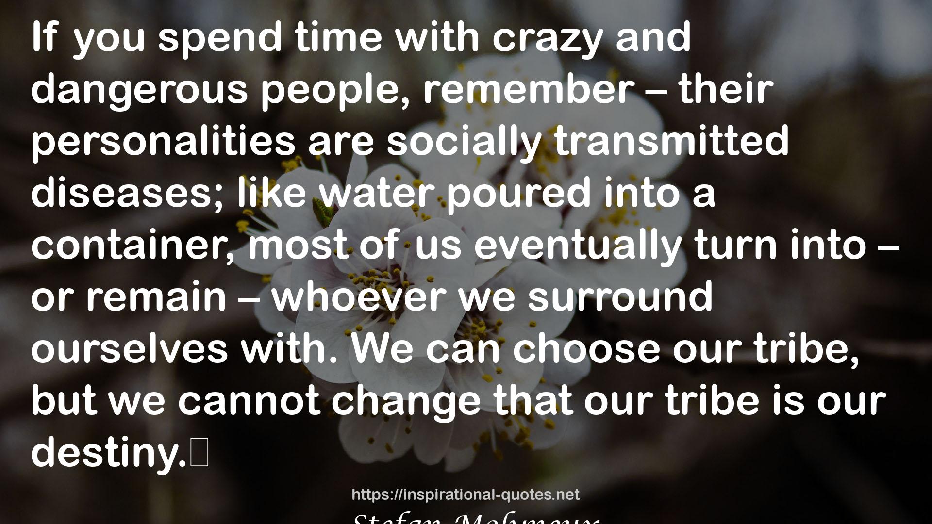 our tribe  QUOTES