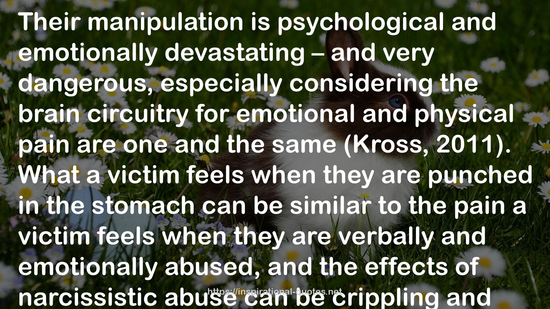 Becoming the Narcissist's Nightmare: How to Devalue and Discard the Narcissist While Supplying Yourself QUOTES