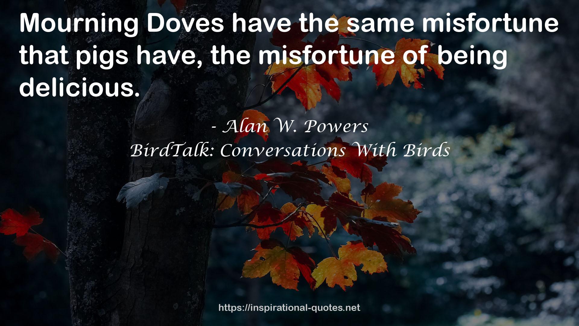 BirdTalk: Conversations With Birds QUOTES