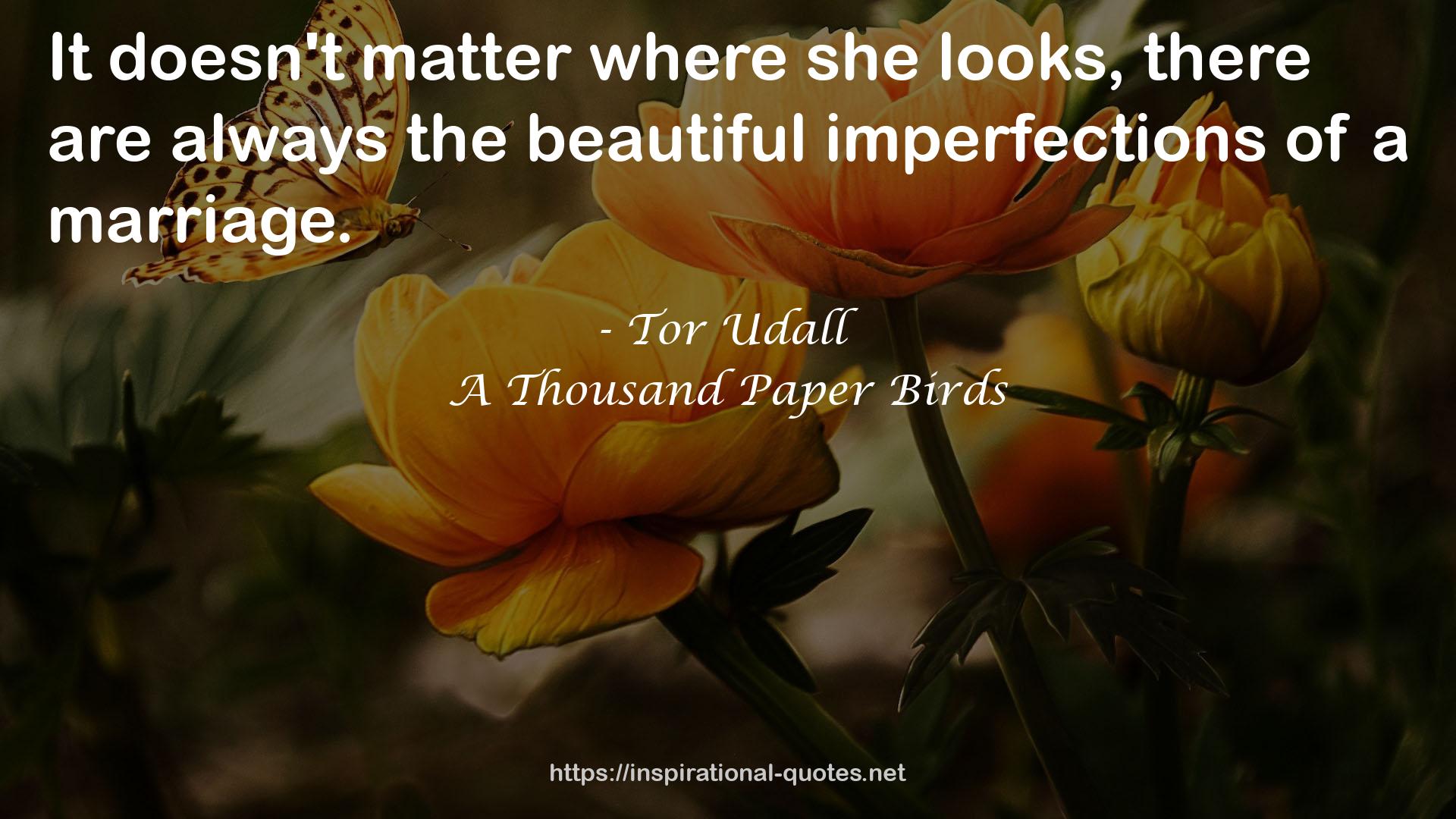 the beautiful imperfections  QUOTES