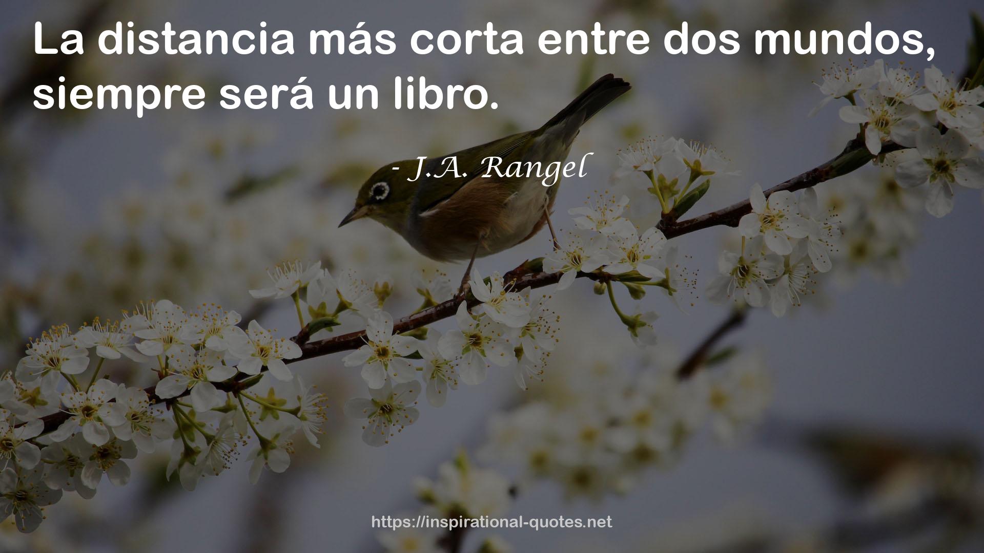 J.A. Rangel QUOTES