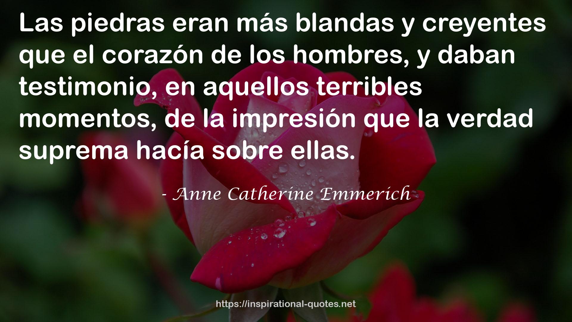 Anne Catherine Emmerich QUOTES