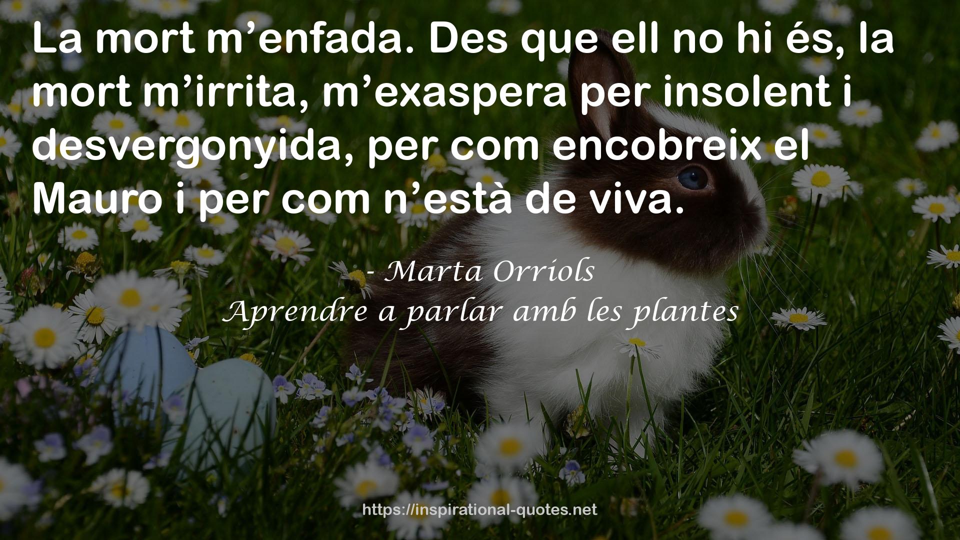 Aprendre a parlar amb les plantes QUOTES