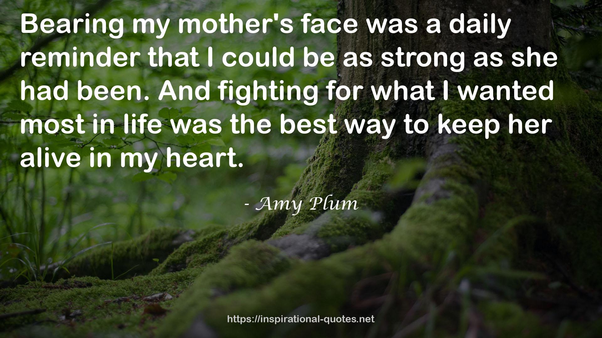 Amy Plum QUOTES