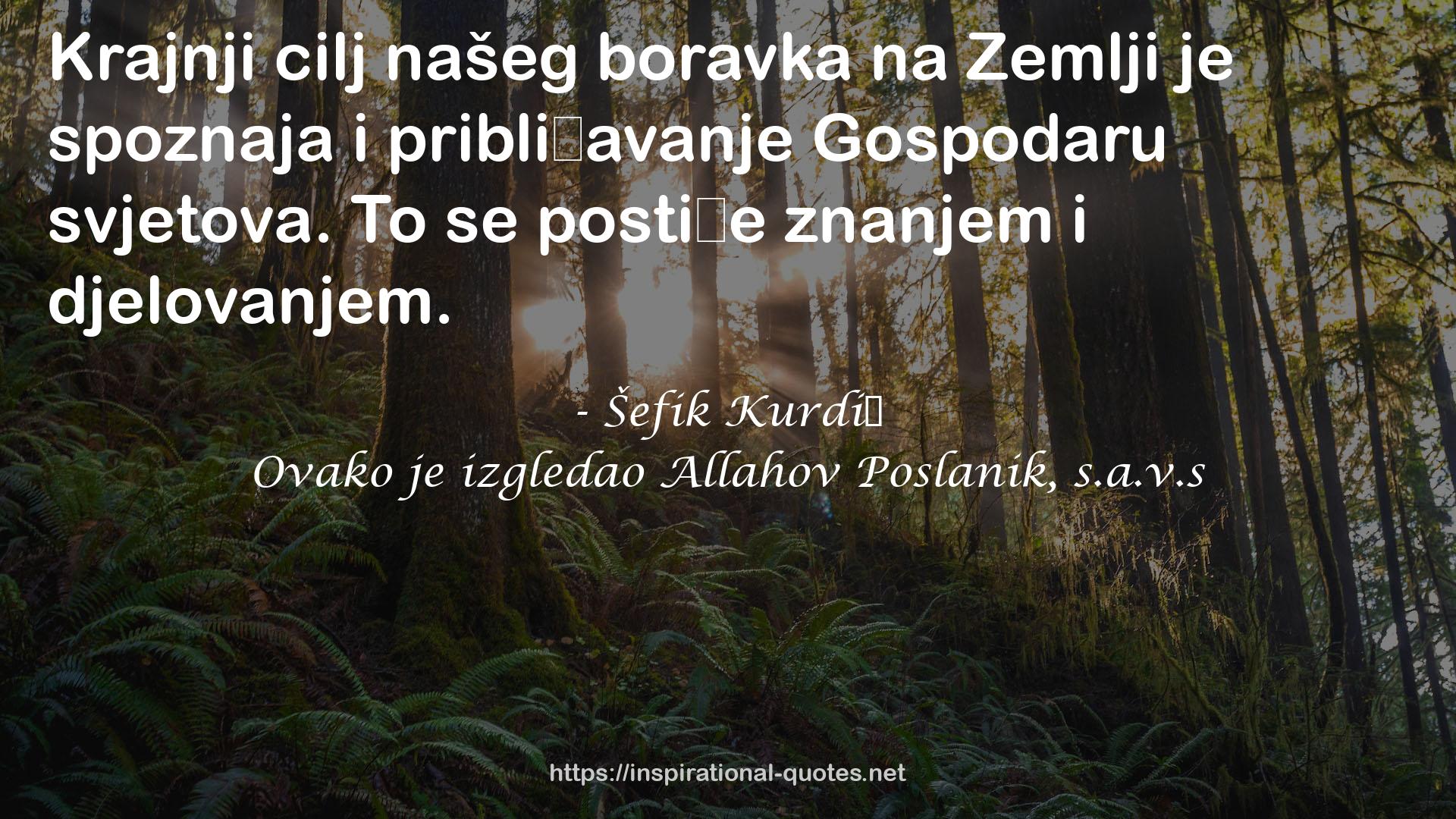 Šefik Kurdić QUOTES