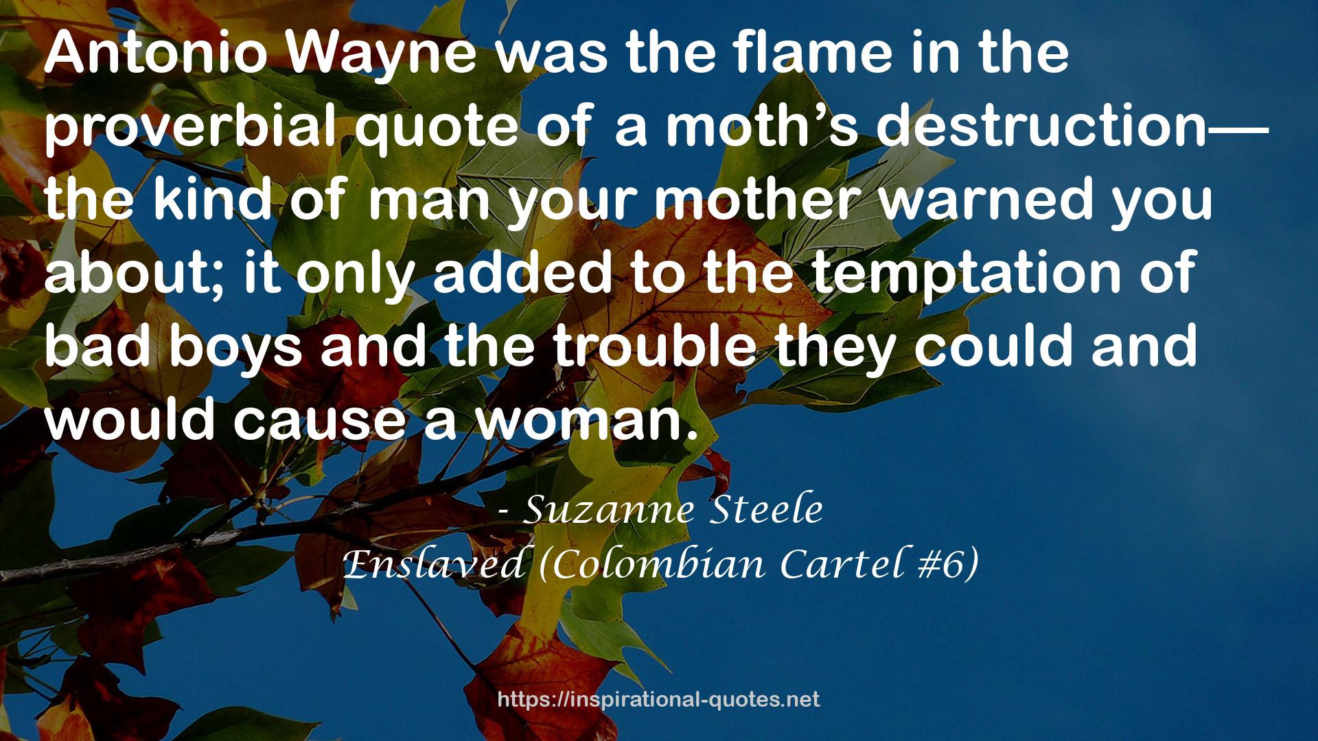 Enslaved (Colombian Cartel #6) QUOTES