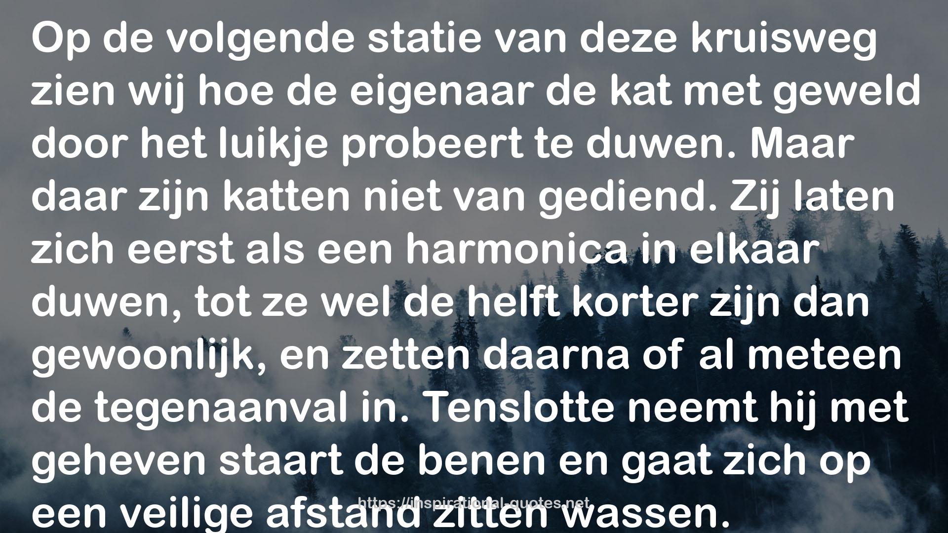 Kattekwaad: de mooiste verhalen over katten QUOTES