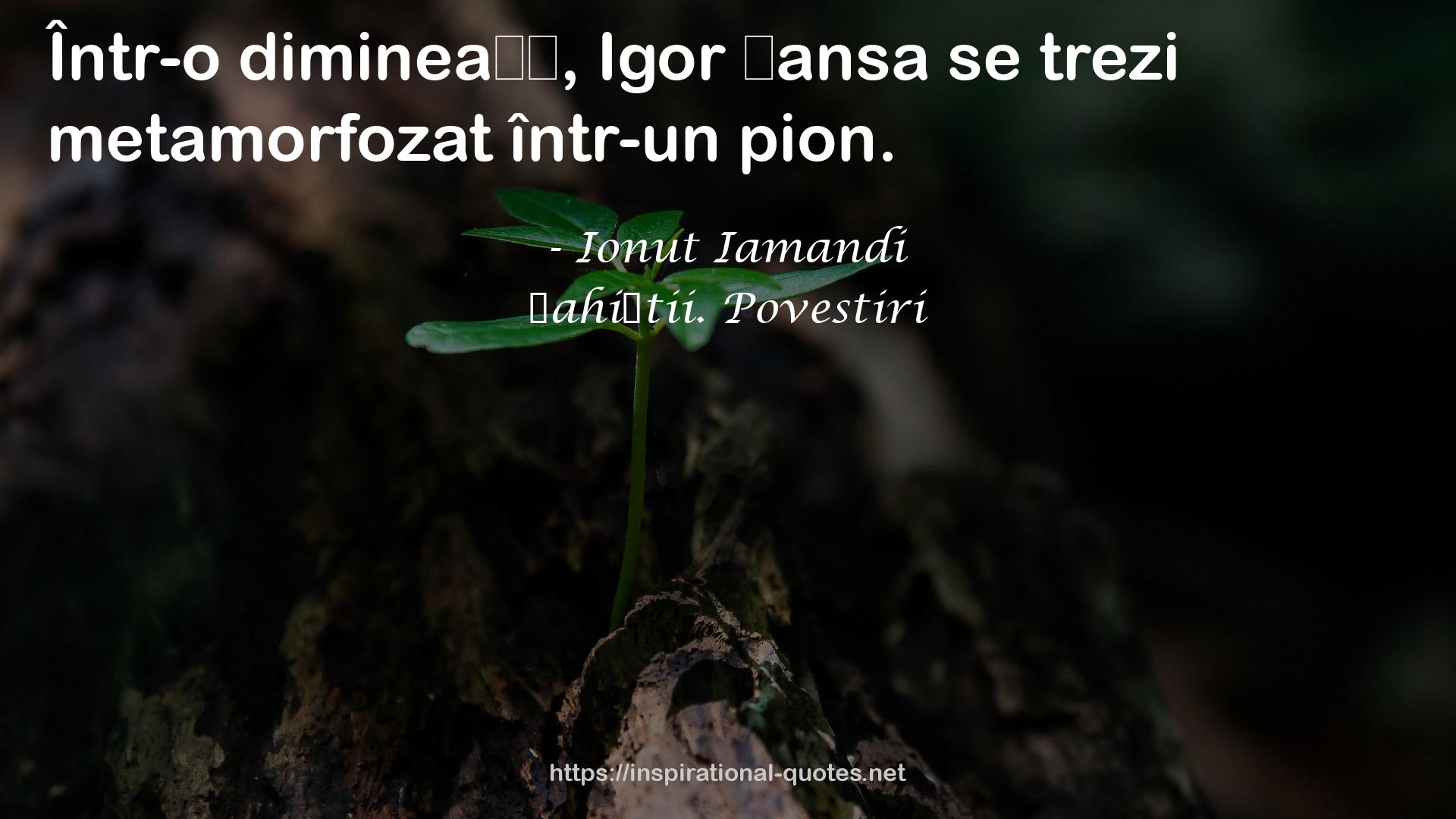 Șahiștii. Povestiri QUOTES