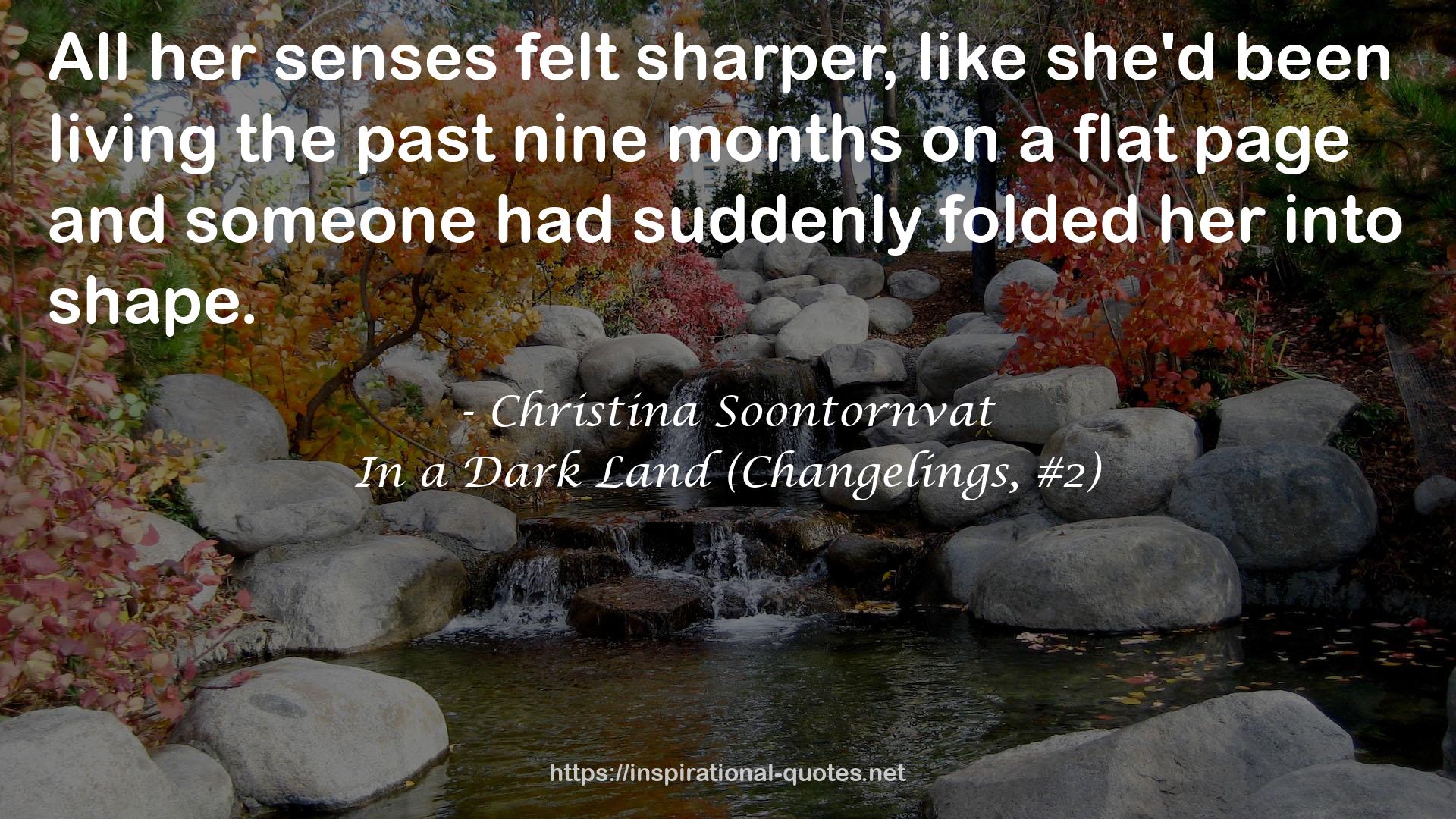 In a Dark Land (Changelings, #2) QUOTES