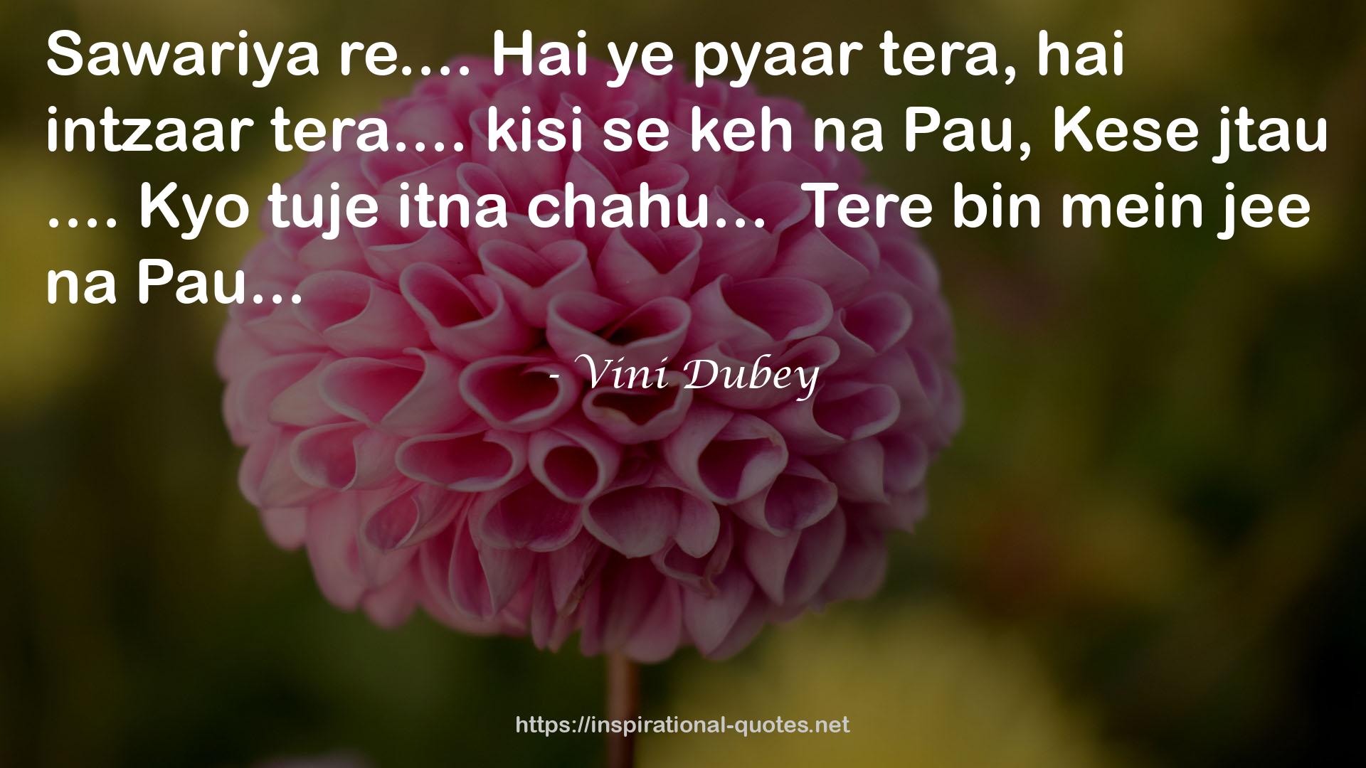 Vini Dubey QUOTES