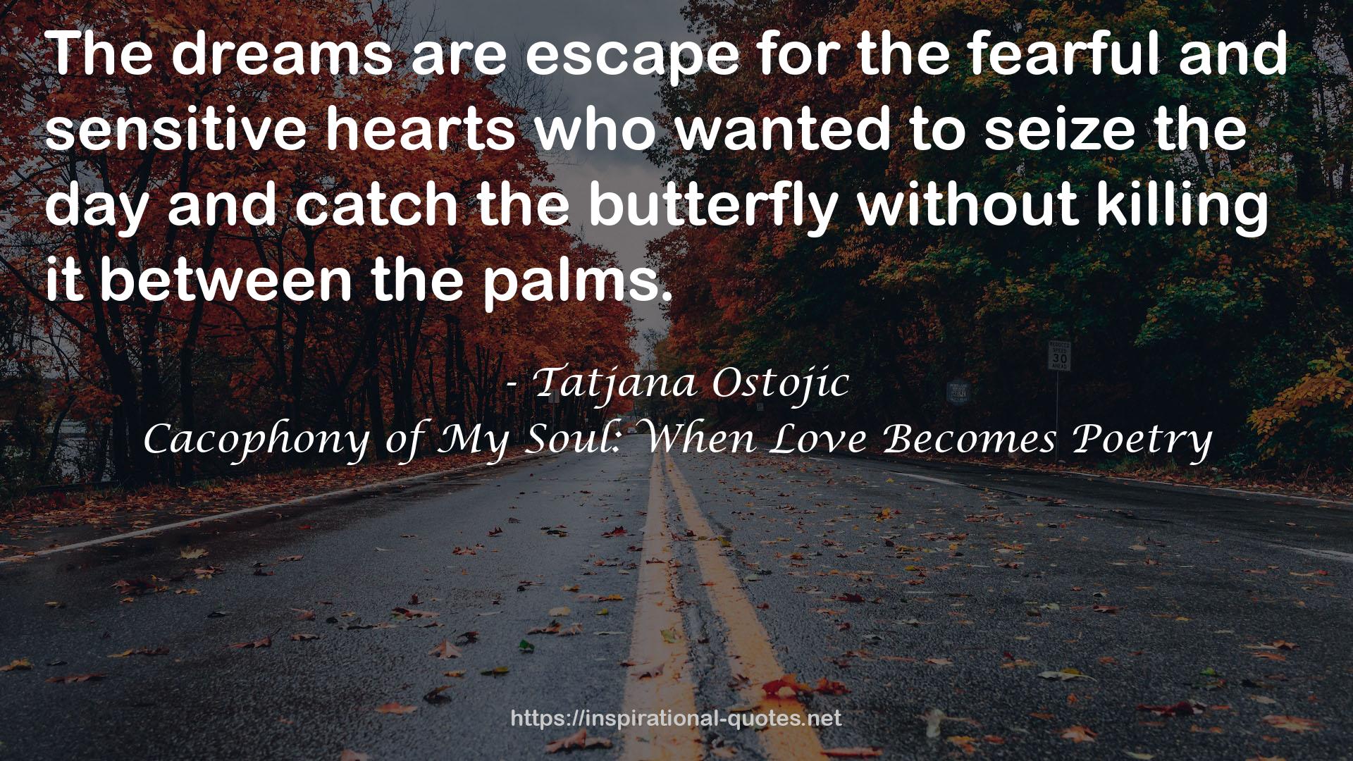 Tatjana Ostojic QUOTES