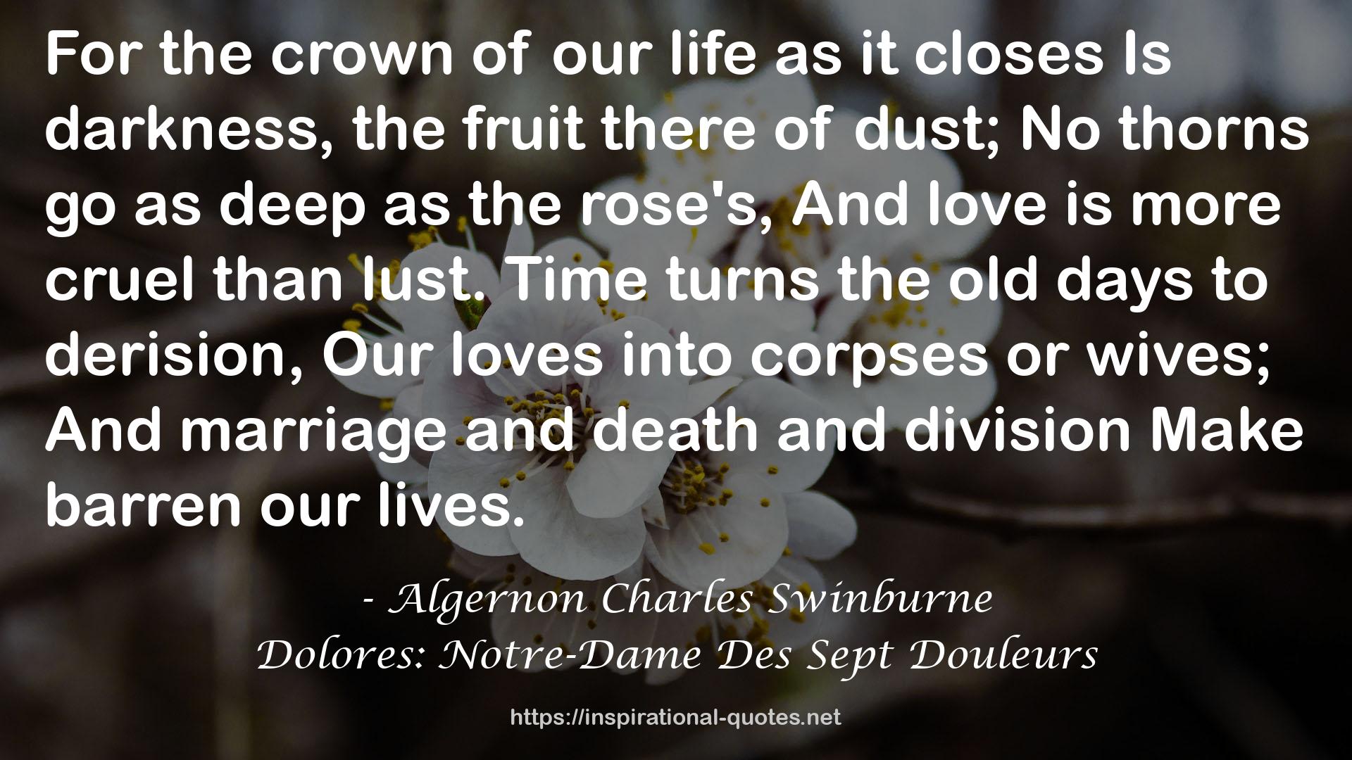 Dolores: Notre-Dame Des Sept Douleurs QUOTES