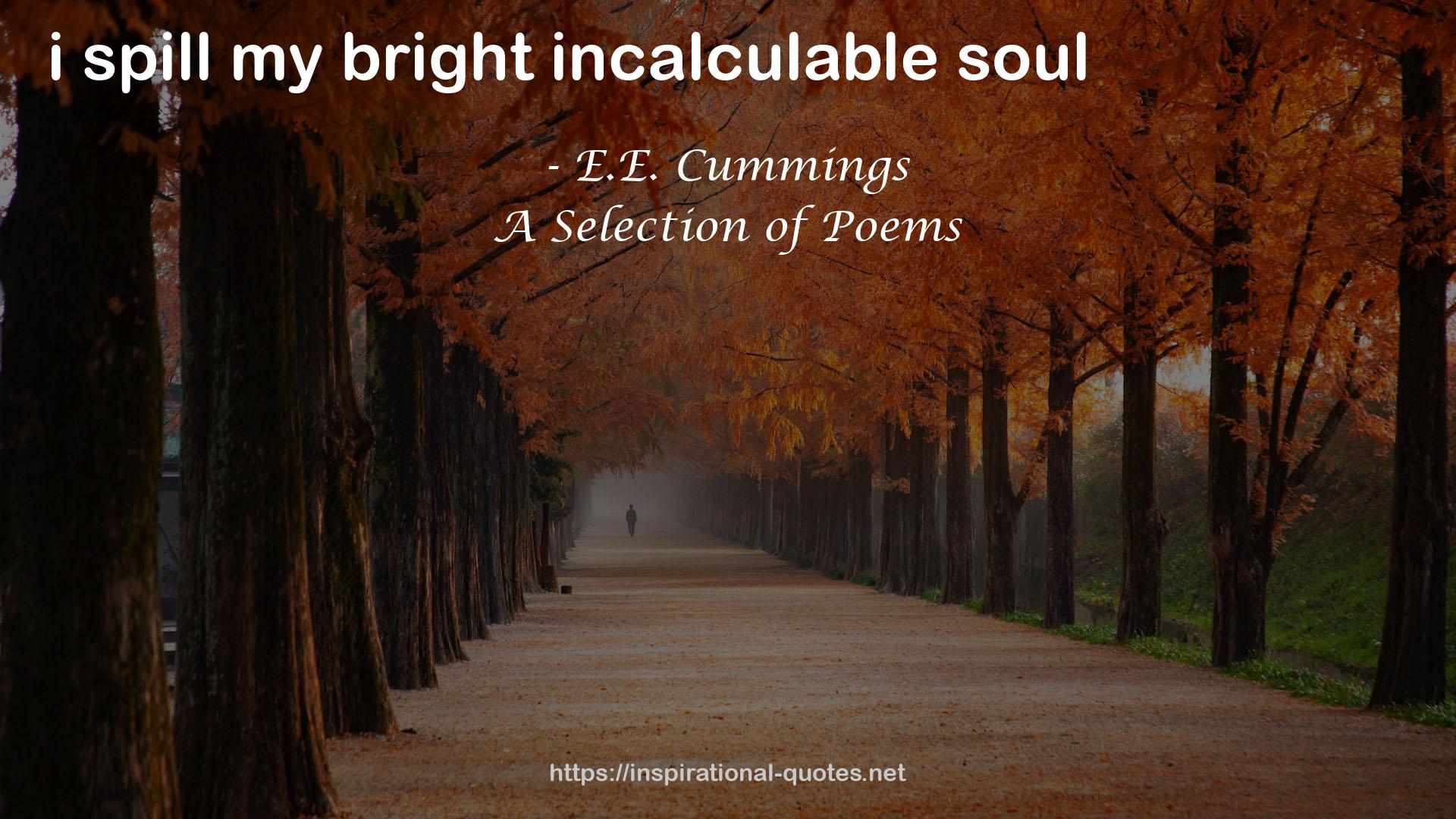 A Selection of Poems QUOTES