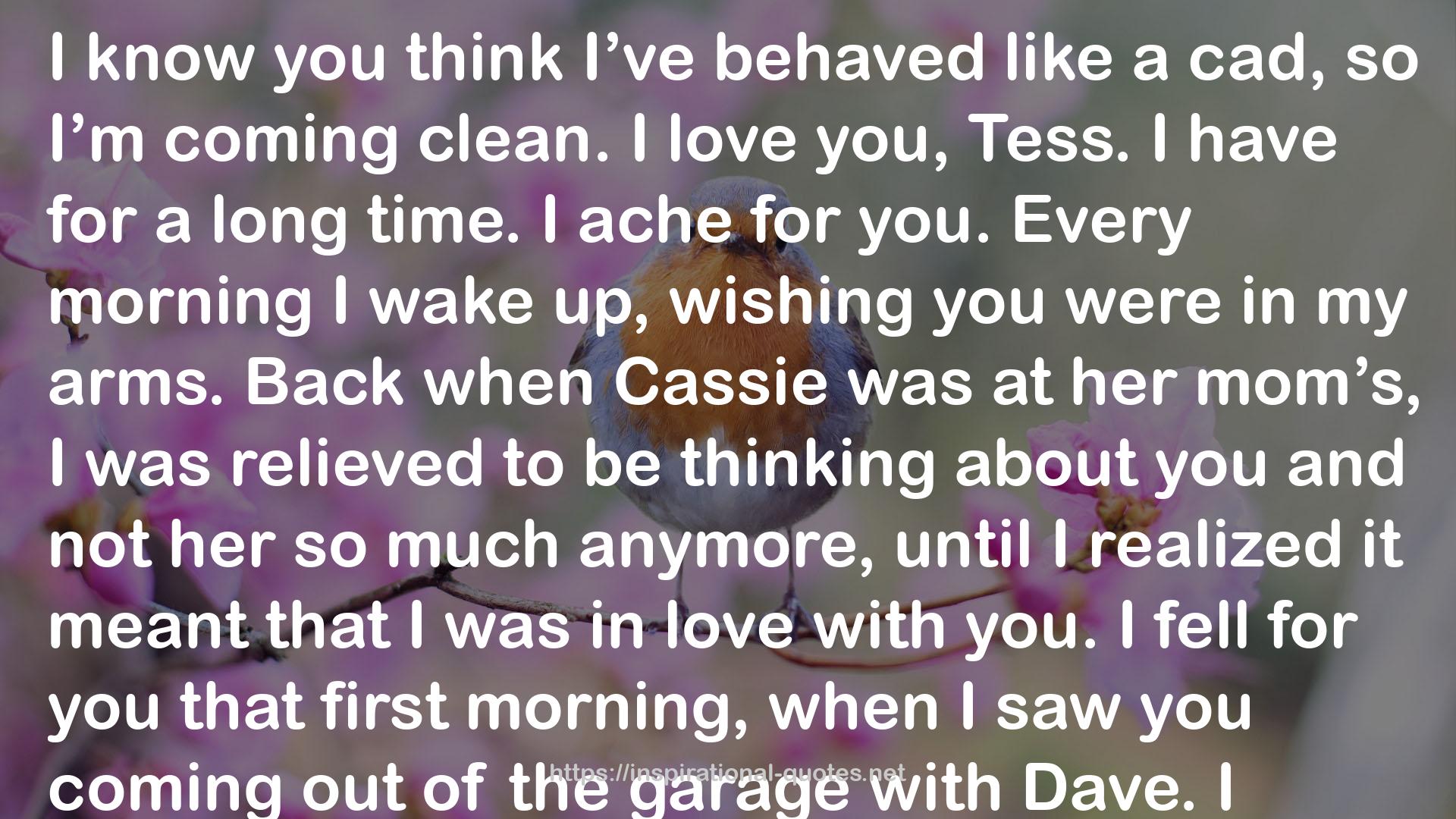 Crashing into Tess (McGreers, #1) QUOTES