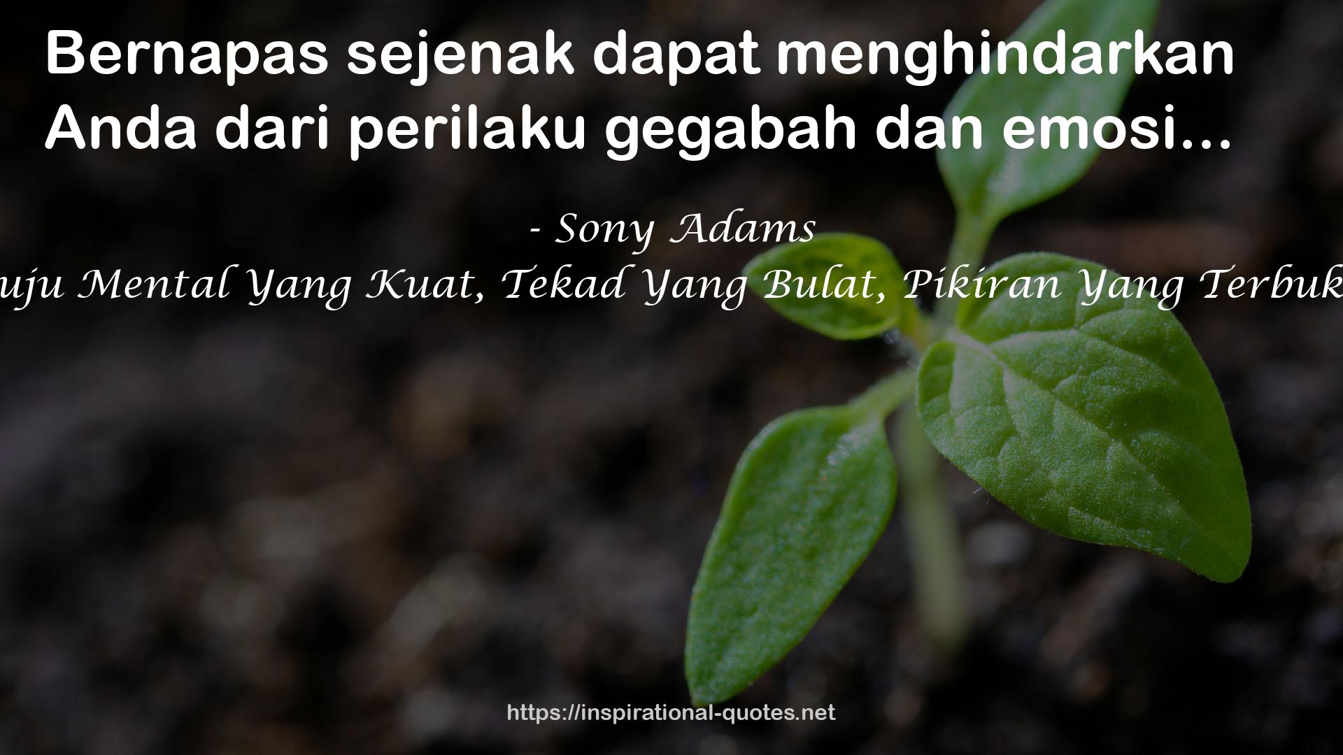 30 Days Pursuit of Happiness: 30 Hari Menuju Mental Yang Kuat, Tekad Yang Bulat, Pikiran Yang Terbuka, Dan Hati Yang Ikhlas Dalam Segala Hal QUOTES