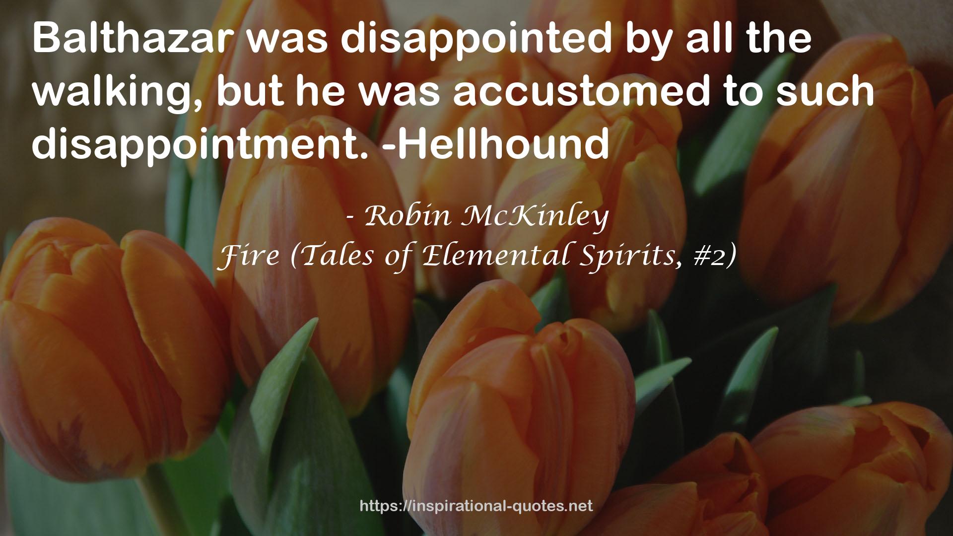 Fire (Tales of Elemental Spirits, #2) QUOTES