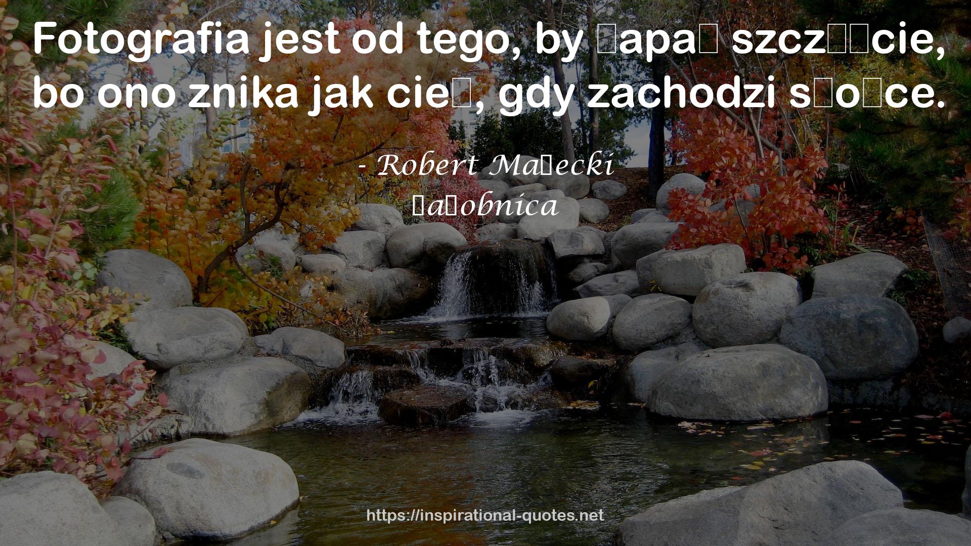 Żałobnica QUOTES