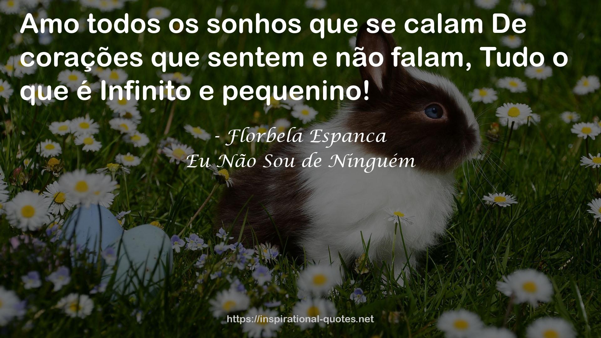 Eu Não Sou de Ninguém QUOTES