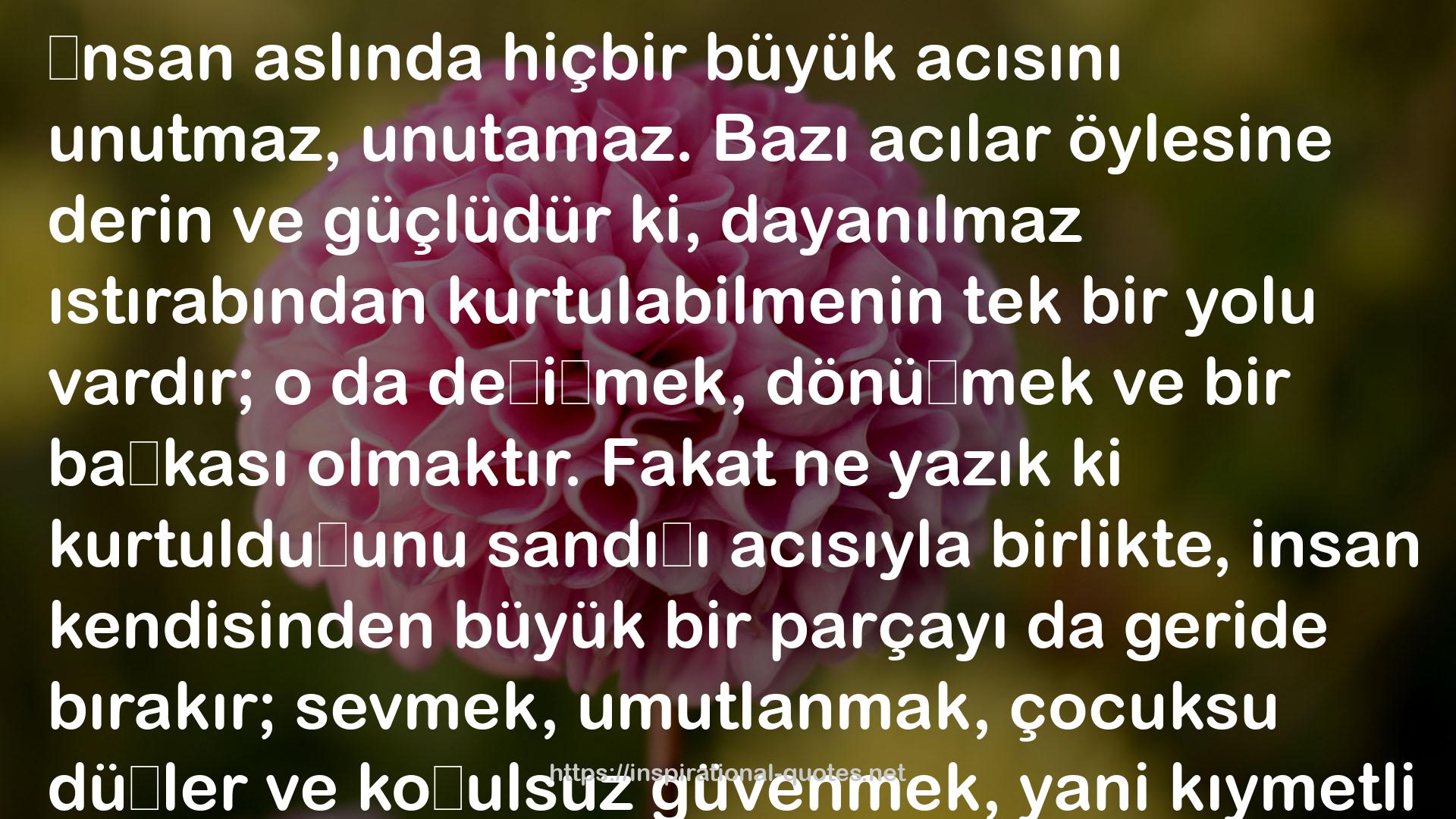 Göklerden Gelen Umut QUOTES