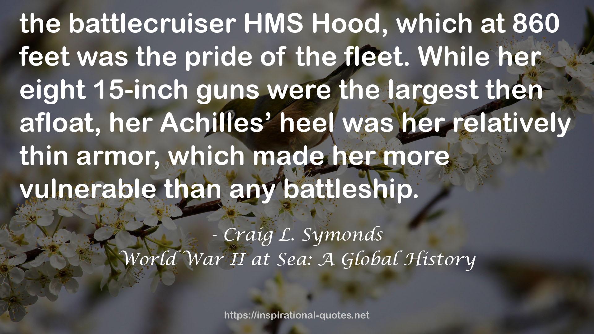 World War II at Sea: A Global History QUOTES