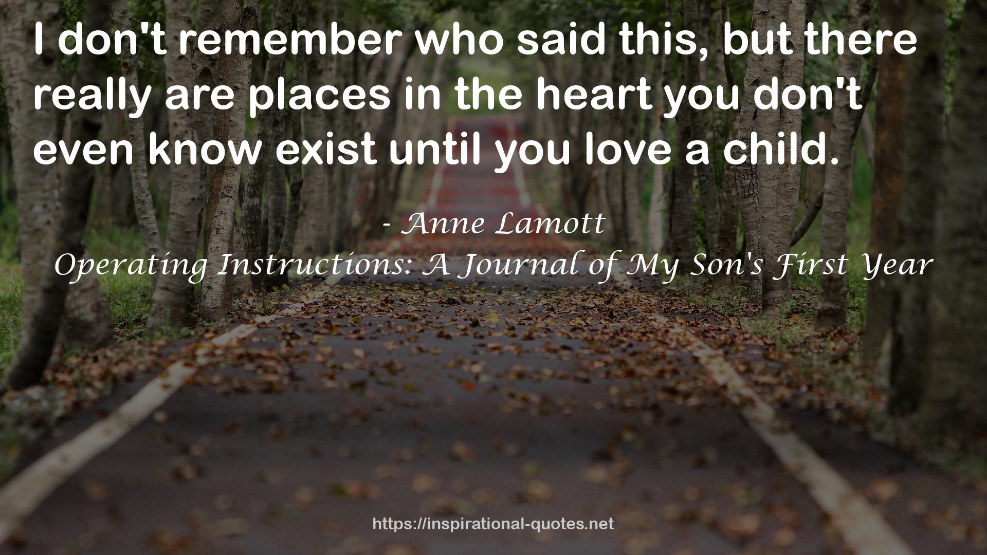 Anne Lamott QUOTES