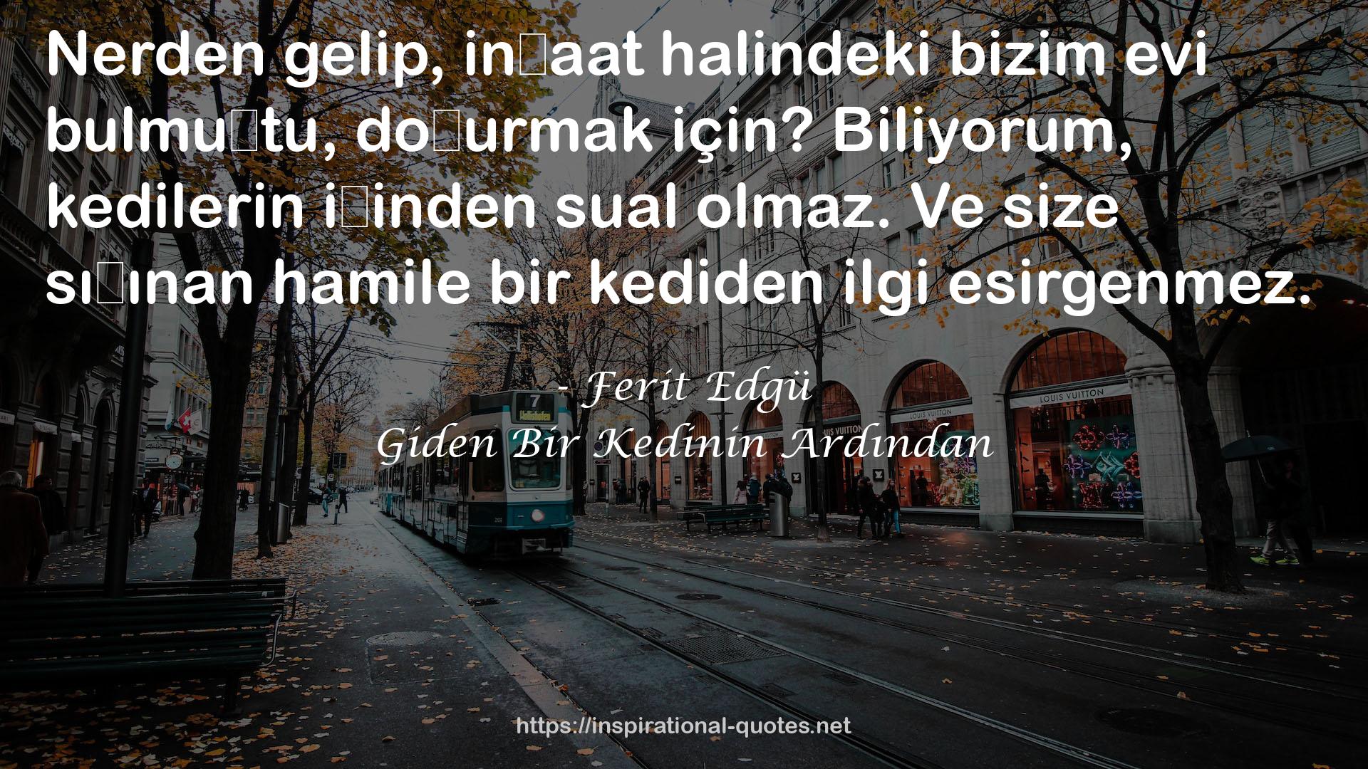 Giden Bir Kedinin Ardından QUOTES