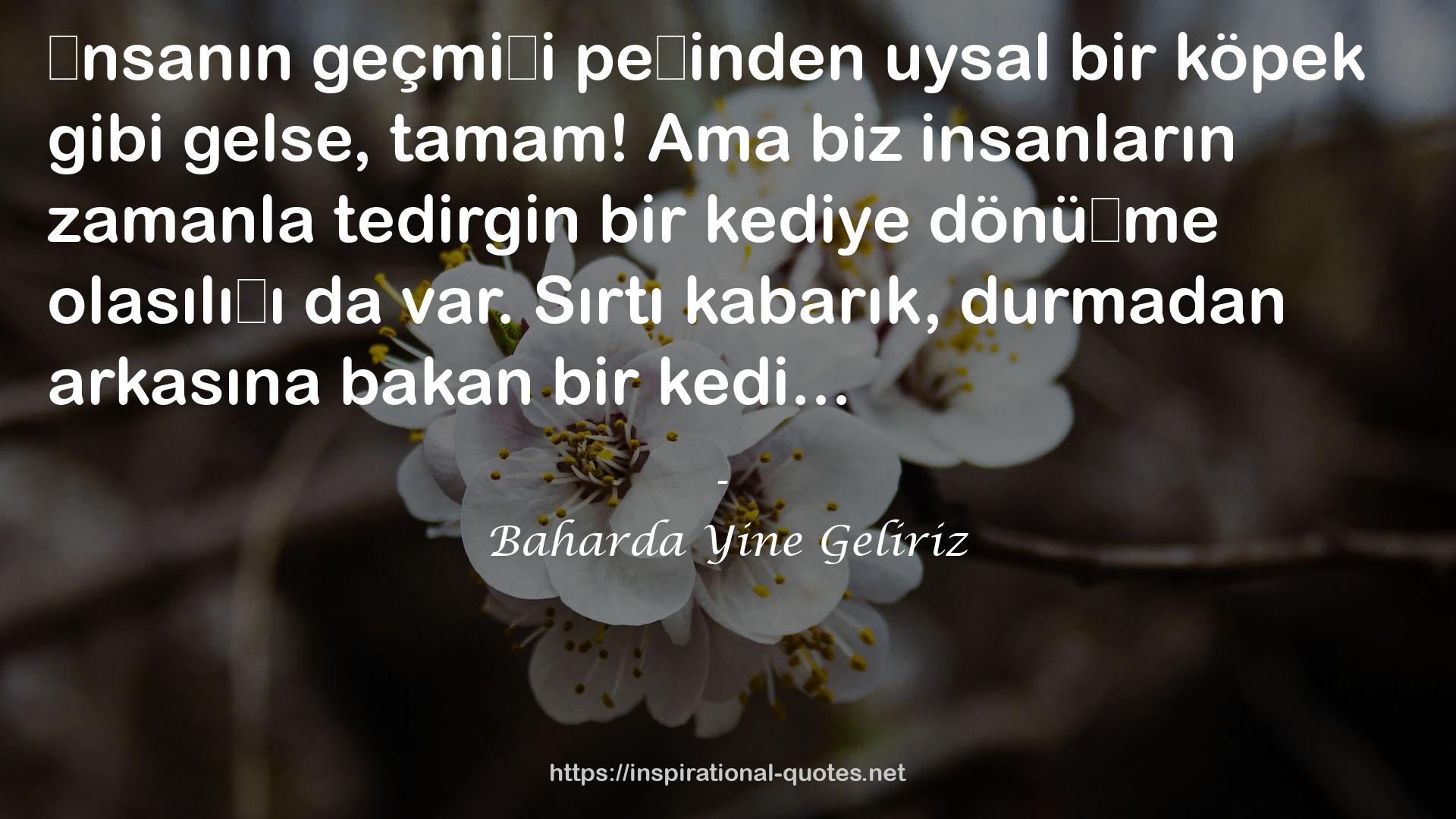 Baharda Yine Geliriz QUOTES