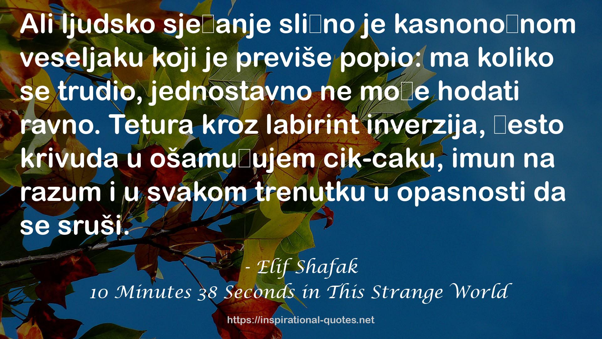 Elif Shafak QUOTES