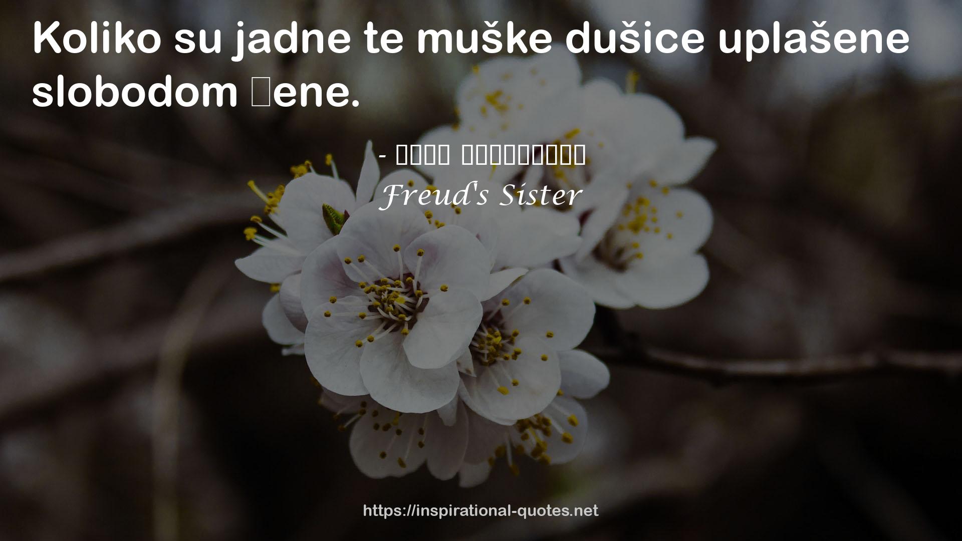 Freud's Sister QUOTES