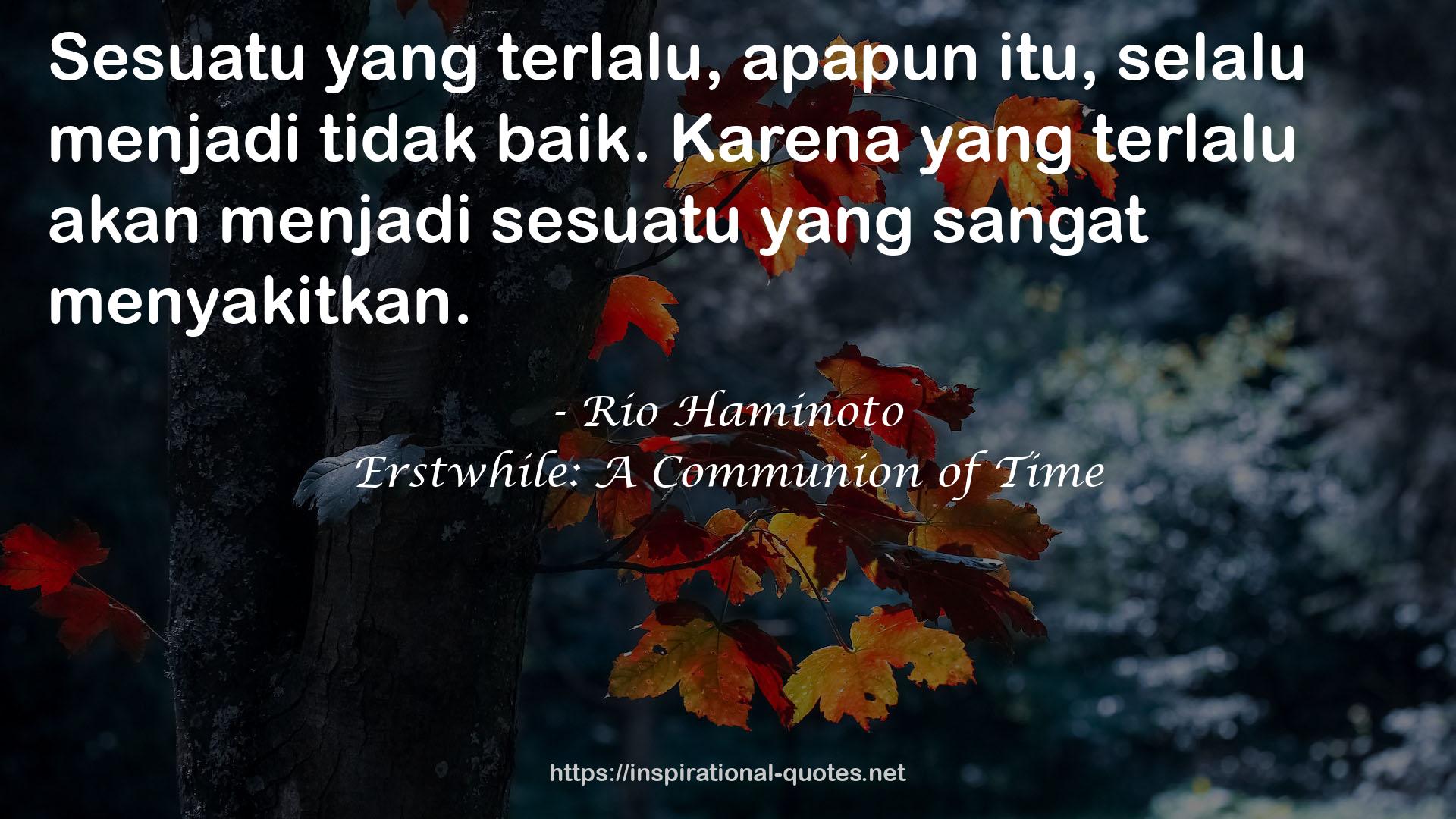 Rio Haminoto QUOTES