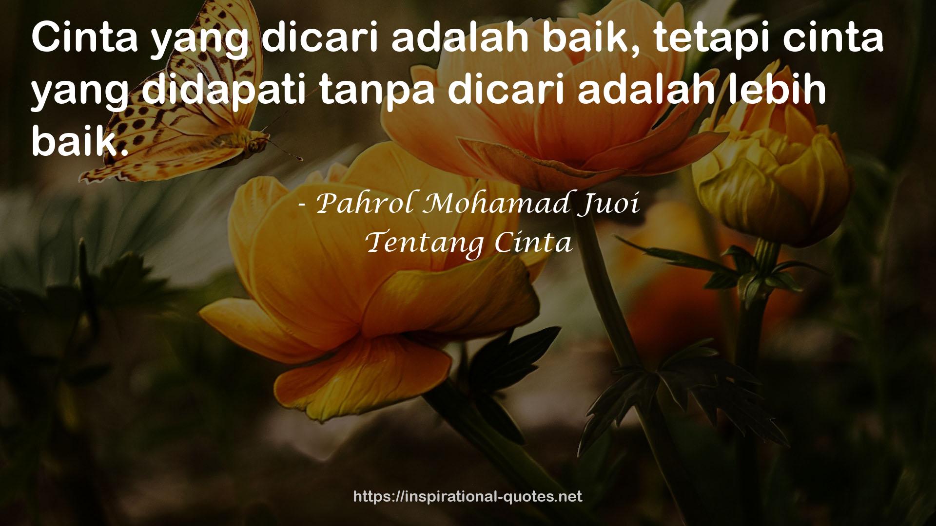 Tentang Cinta QUOTES