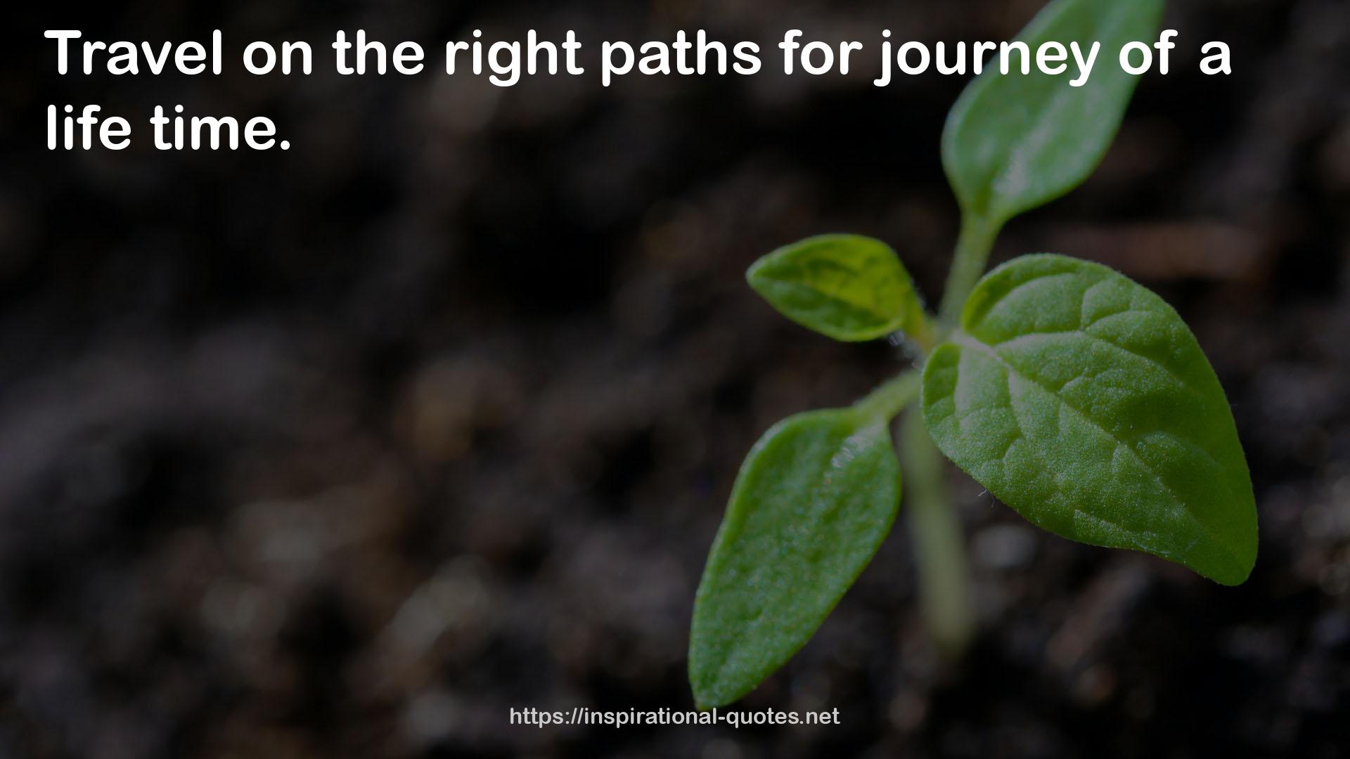 the right paths  QUOTES