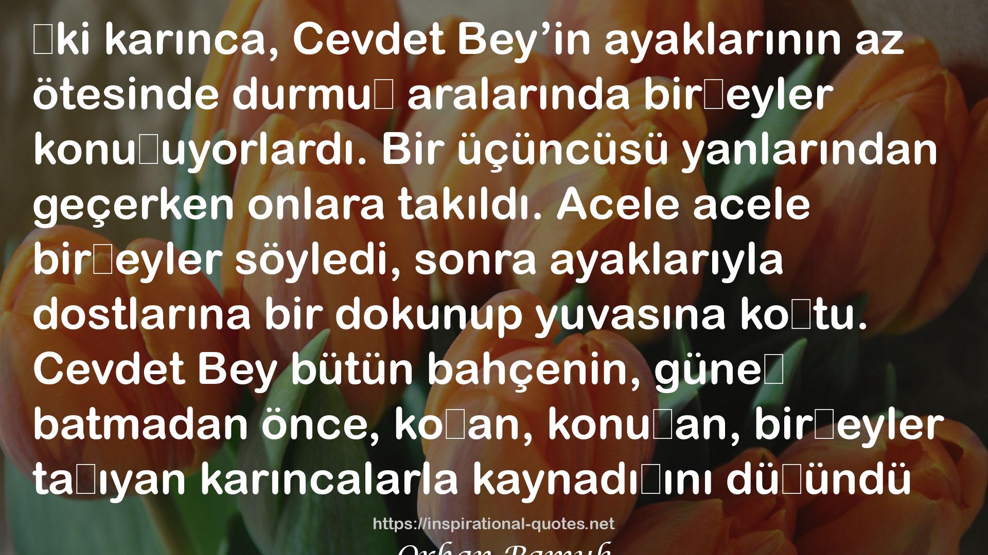 Cevdet Bey ve Oğulları QUOTES