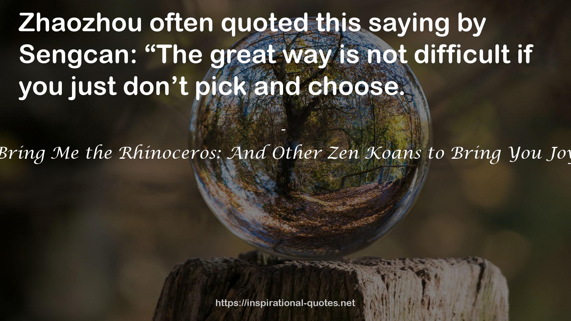Bring Me the Rhinoceros: And Other Zen Koans to Bring You Joy QUOTES