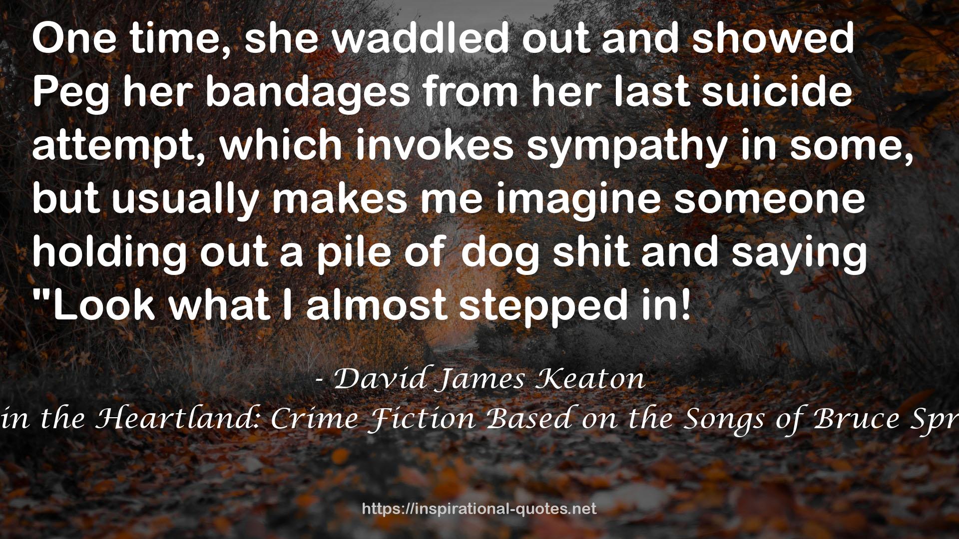 Trouble in the Heartland: Crime Fiction Based on the Songs of Bruce Springsteen QUOTES