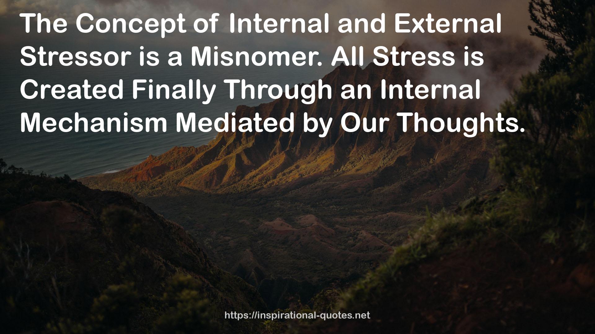 Internal and External Stressor  QUOTES