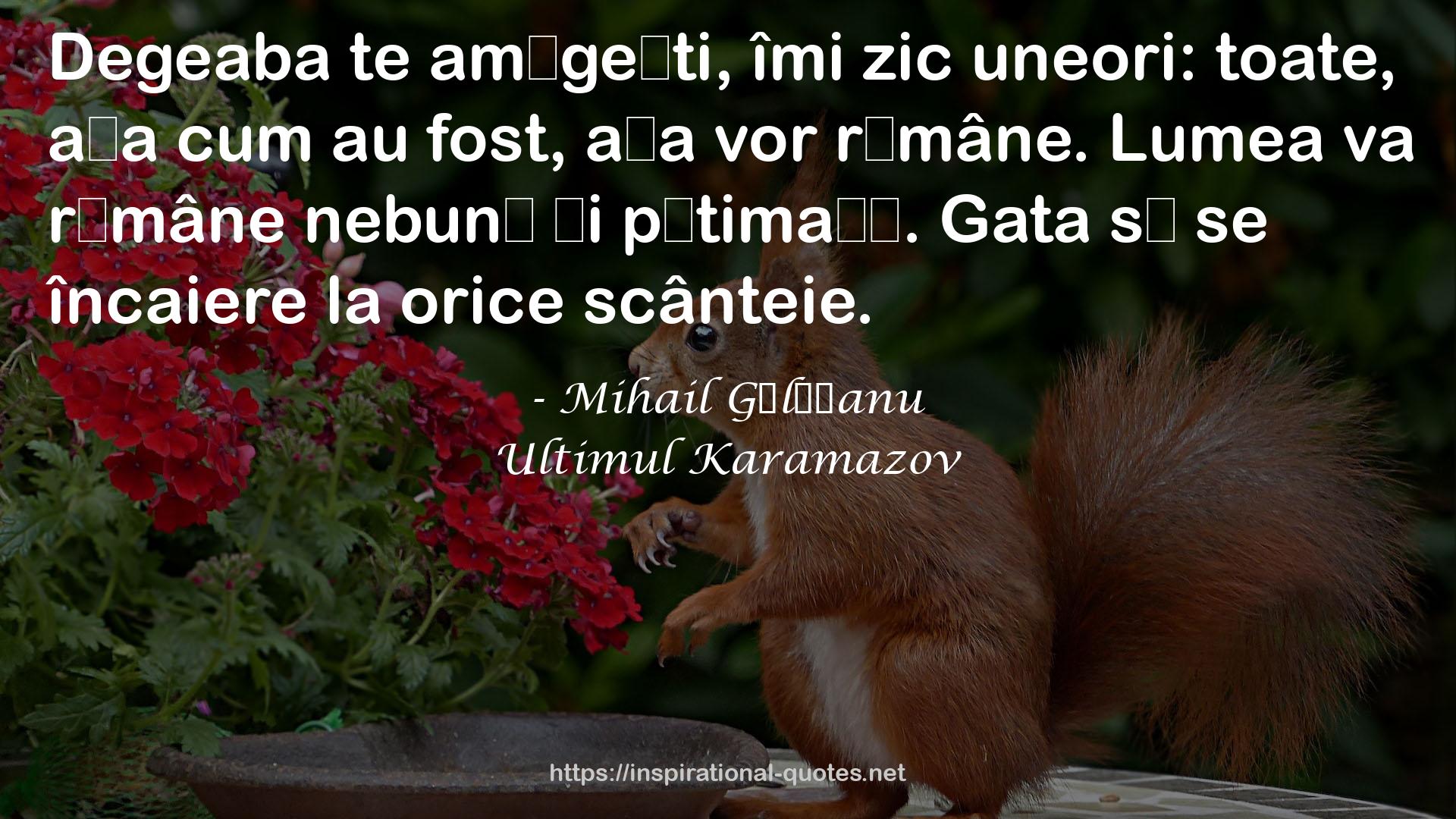 Mihail Gălăţanu QUOTES