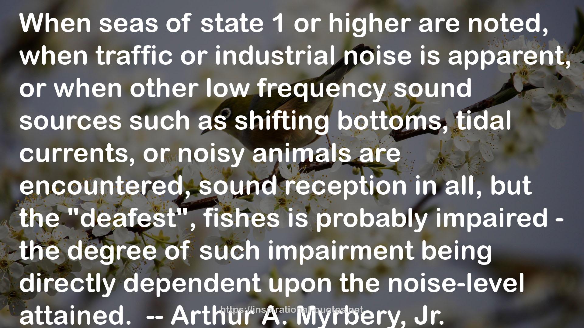 Effects of Noise on Wildlife QUOTES