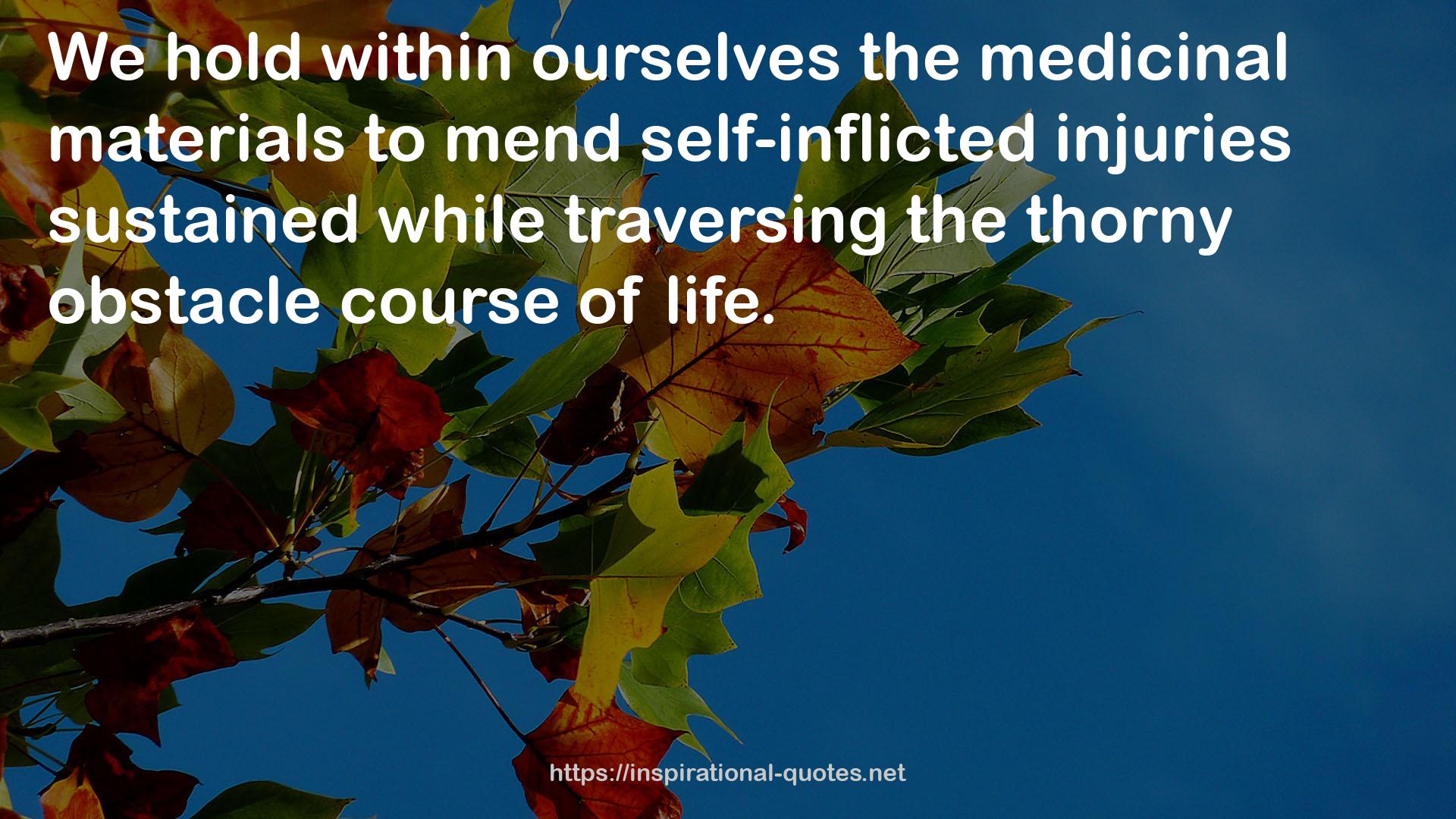self-inflicted injuries  QUOTES