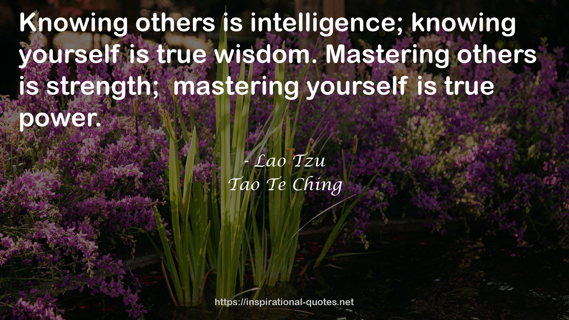 Lao Tzu QUOTES