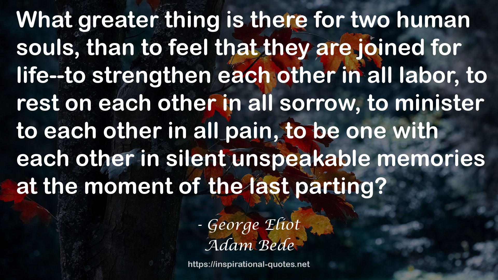 Adam Bede QUOTES