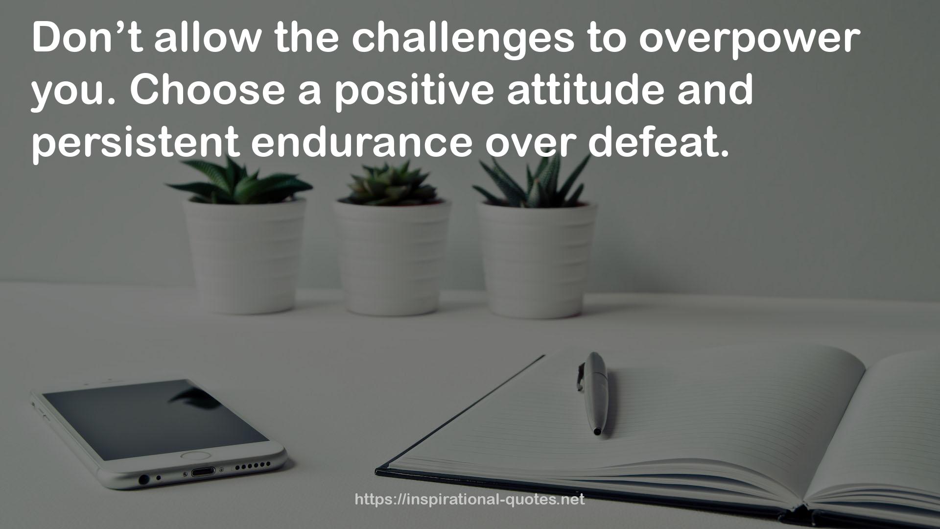 persistent endurance  QUOTES