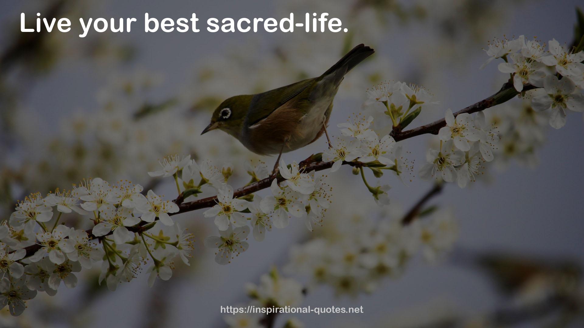 your best sacred-life  QUOTES