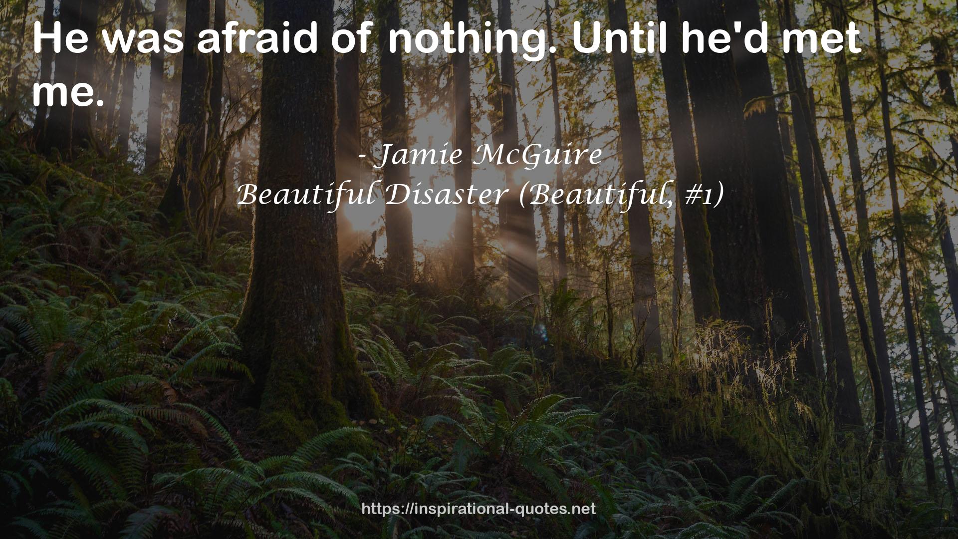 Beautiful Disaster (Beautiful, #1) QUOTES