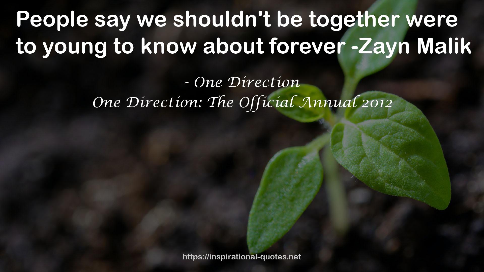 One Direction: The Official Annual 2012 QUOTES