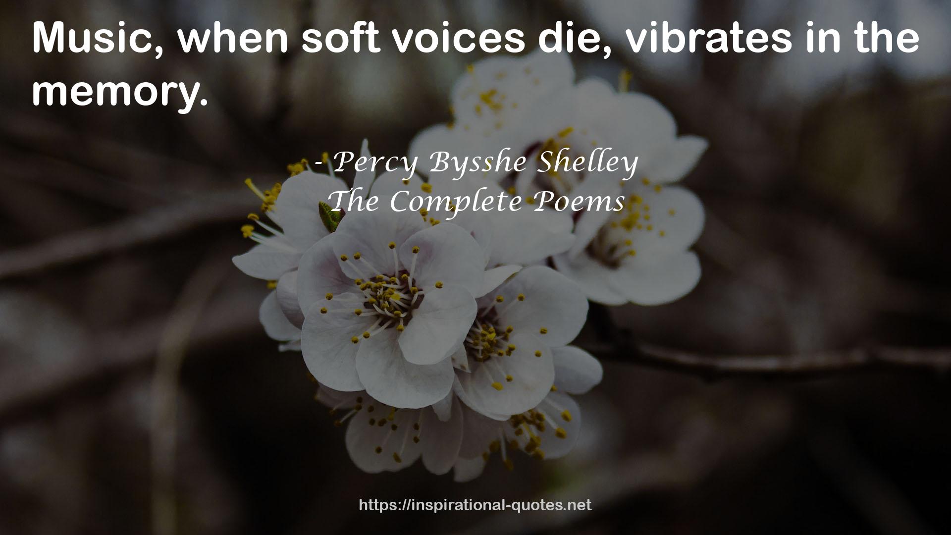 soft voices  QUOTES